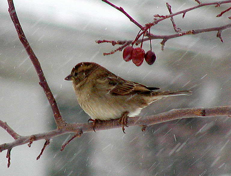 Holding On During A Blizzard
