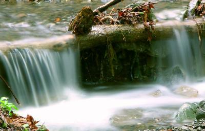 Foothill Park