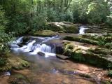 Tiger GA. Flowing Water