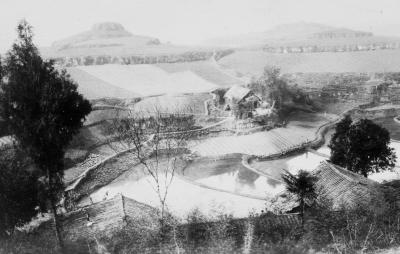 China 1906 Terrace farming & beehive hill 