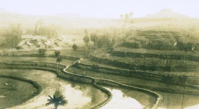 China 1906 Terrace-farming