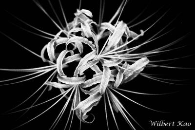 CRW_0117.jpg