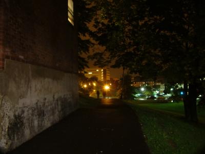 Dark figures on path