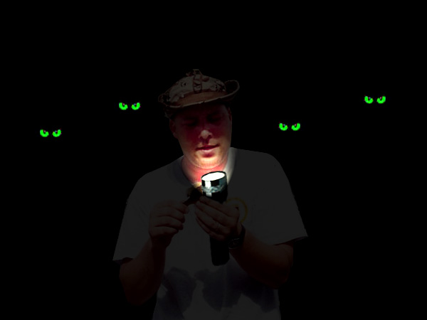Night Fisherman.jpg