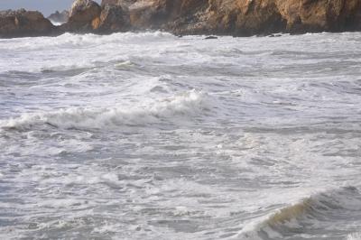 CRW_7340-1.jpg
