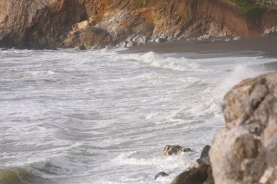 CRW_7342-1.jpg