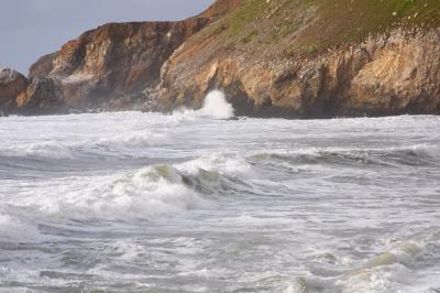 CRW_7344-1.jpg