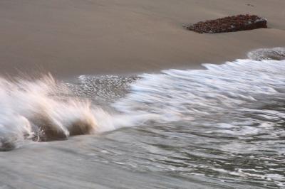 CRW_7430-1.jpg