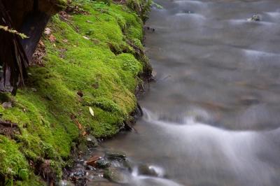 CRW_7451-1.jpg