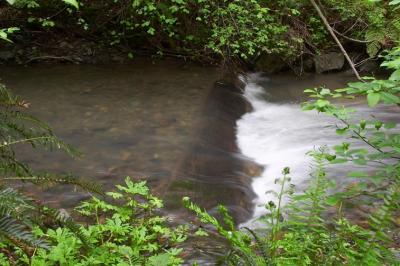CRW_7462-1.jpg