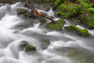 CRW_7468-1.jpg