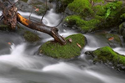 CRW_7469-1.jpg