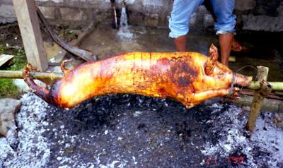 Roasting pig on an open pit in the Philippines, 21 July, 1999