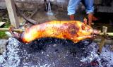 Roasting pig on an open pit in the Philippines, 21 July, 1999