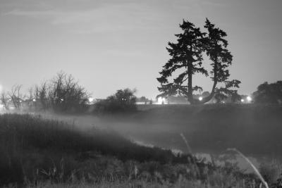 nightscape of a foggy creek