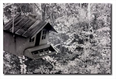 IR Red Bird house with Copper Roof