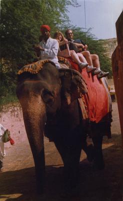 Elephant Ride to the Amber Fort