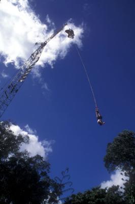 Bungee Junping in Kuranda