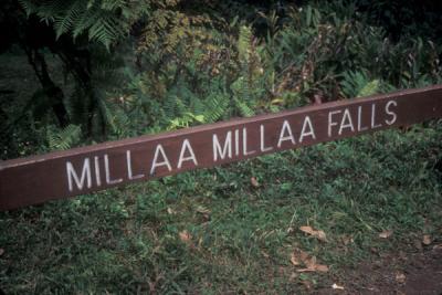 Millaa Millaa Falls