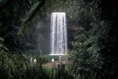 Millaa Millaa Waterfall