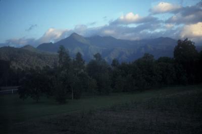 Coastal Plain