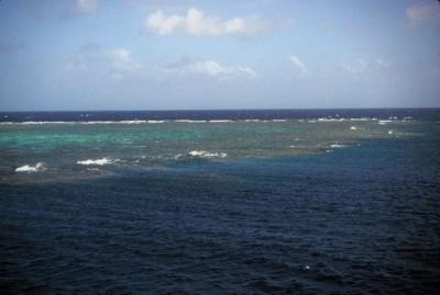 View of the Reef