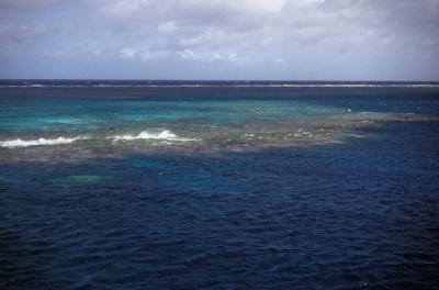 View of the Reef