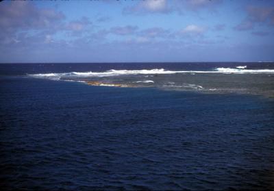 View of the Reef