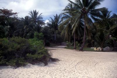 Lizard Island