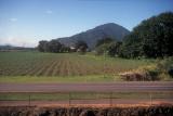 View from Train to Kuranda