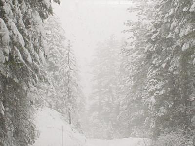 Yosemite 2003