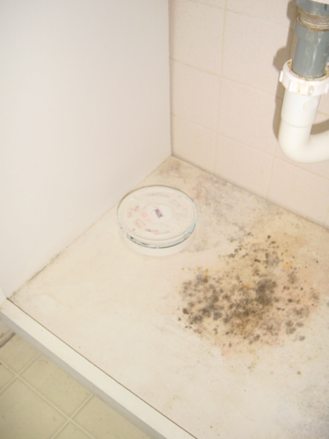 Under sink with the smoke alarm