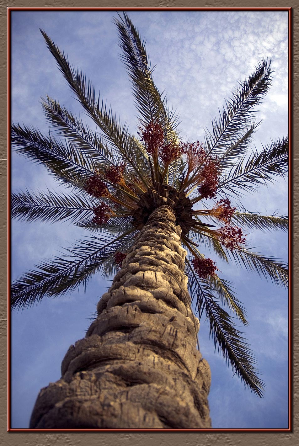A stretched palm