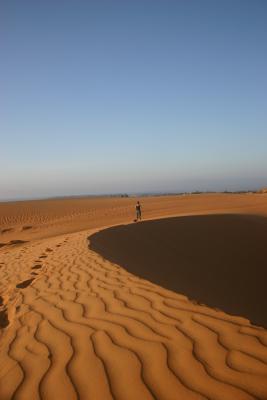 Red Sand Dunes