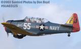 air show and warbird aviation stock photo #7807