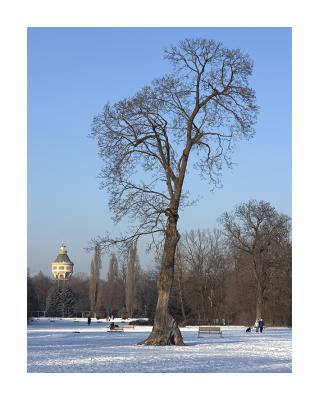 Winter in the Margit Island