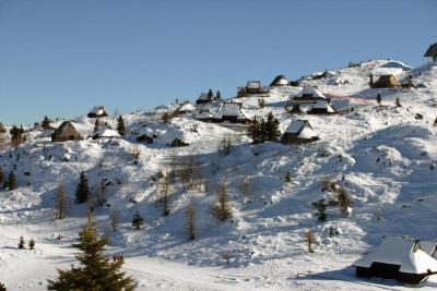 Velika planina_12