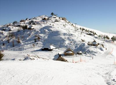 Velika planina_13