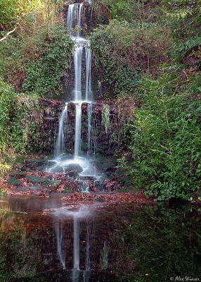 Waterfall, Abinger Common, Surrey