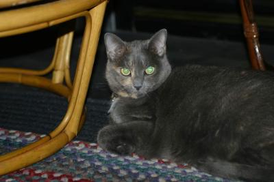 137-3781_IMG.JPG