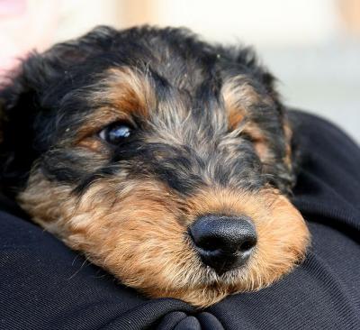 Look at that face!