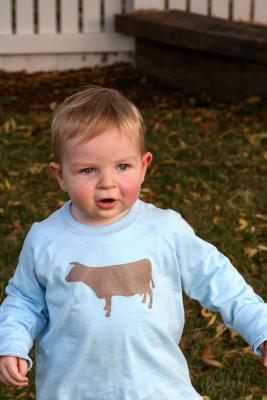 James and the giant cow