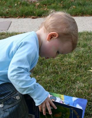 The farm book
