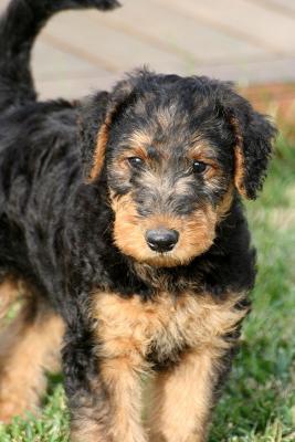 He is going to be big