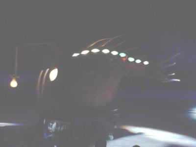 u17/anim8edcox/medium/42696700.Nemo33.jpg