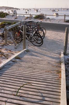 Rottnest transport