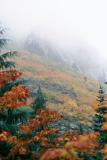 Fall colour at altitude