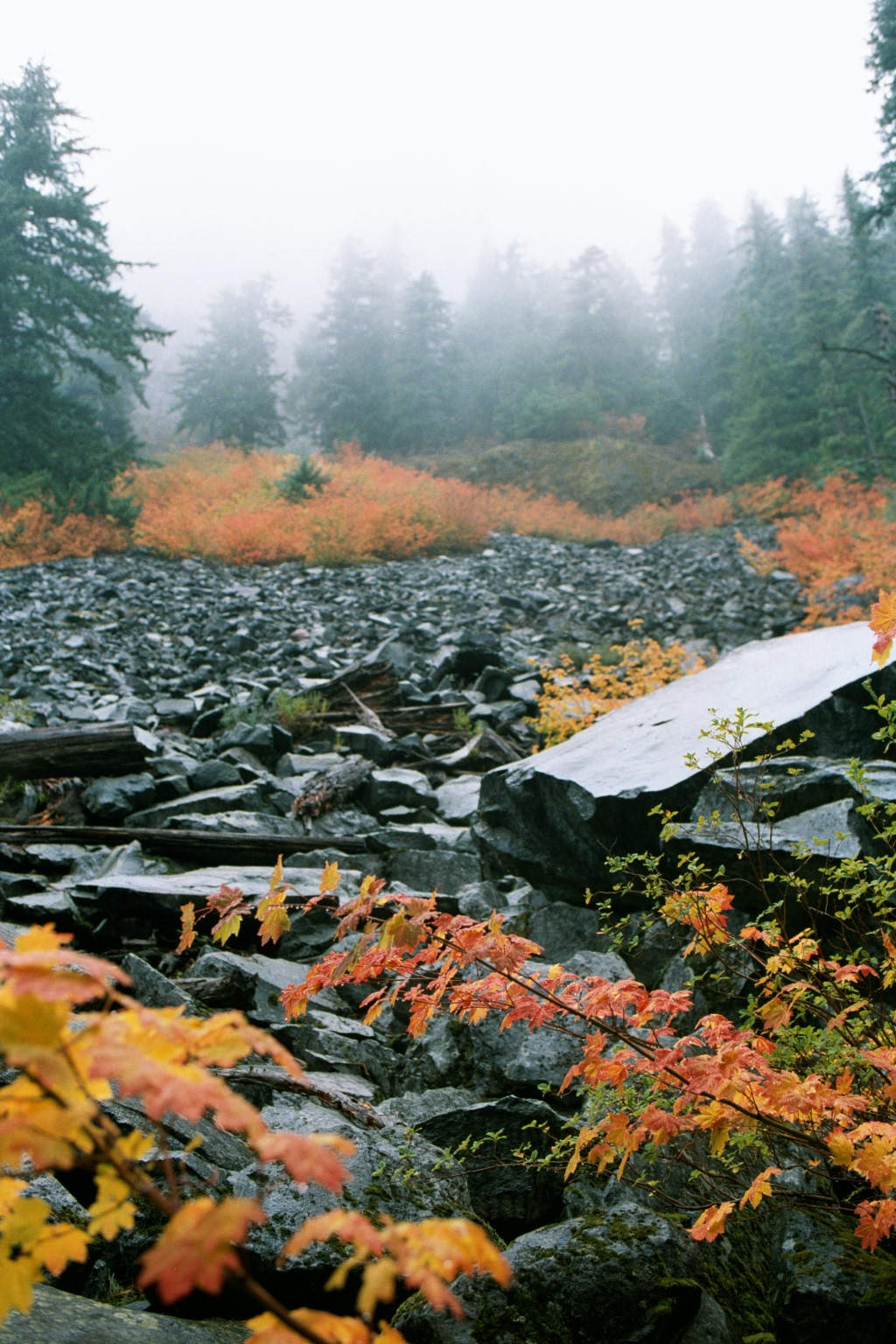 The black rock is granite