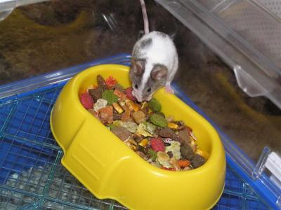 Dinner time!