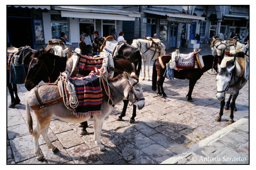 Hydra Island